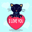 un chat